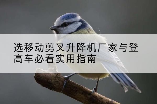 开平电动升降机厂家-选移动剪叉升降机厂家与登高车必看实用指南