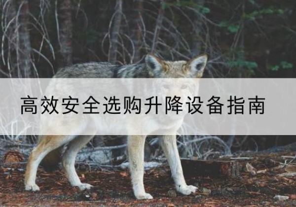 开平升降货梯厂家推荐-*安全选购升降设备指南